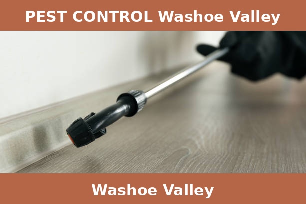 PEST CONTROL Washoe Valley